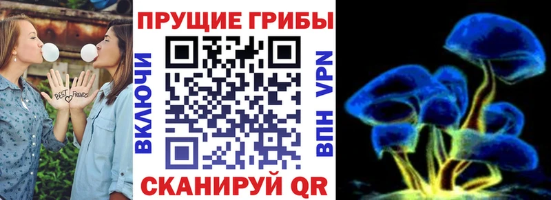 Псилоцибиновые грибы ЛСД  Усть-Джегута 