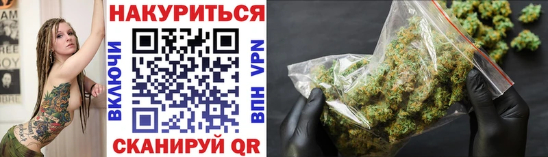 мориарти какой сайт  OMG зеркало  Шишки марихуана план  Усть-Джегута  купить  цена 
