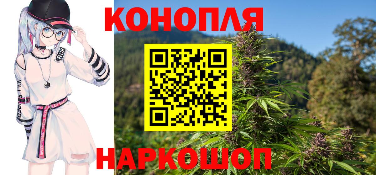 Конопля тримм  Марихуана White Widow  Вход с VPN  Конопля ГИДРОПОН  Усть-Джегута  МАРИХУАНА семена 